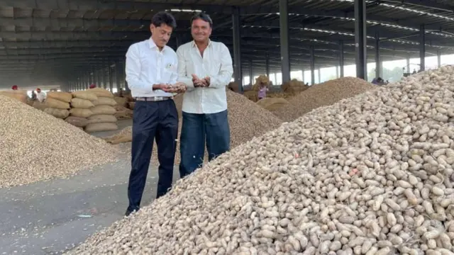 તામિલનાડુના ખેડૂતોને ગુજરાતની મગફળી માફક આવે છે