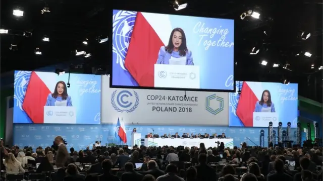 联合国气候变化纲要公约第24次缔约方会议