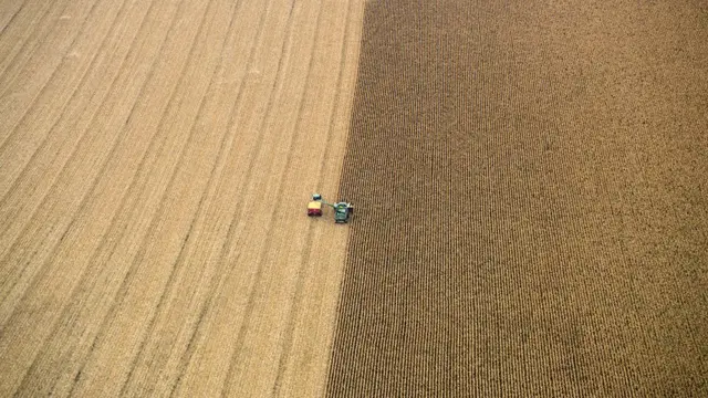 Файна Юкрайна