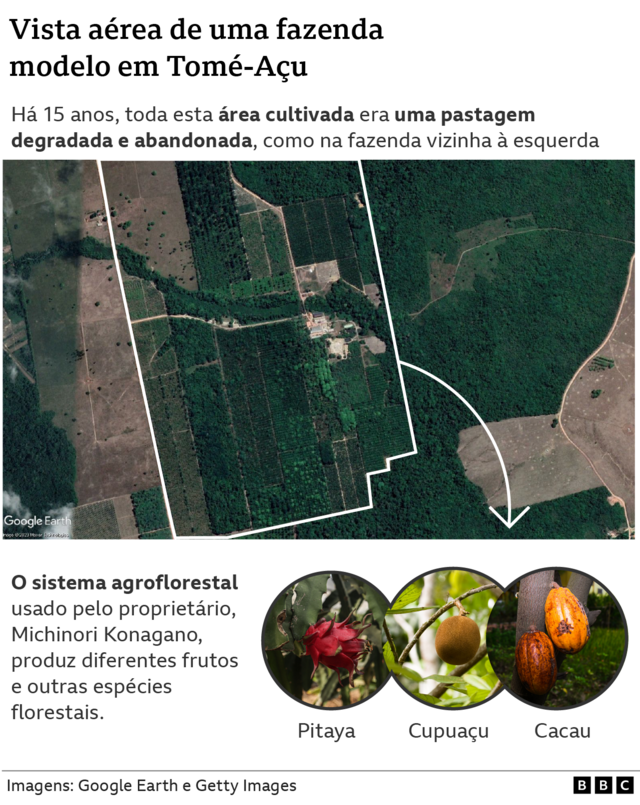 Infográfico sobre fazenda modelobetfair em euroTomé-Açu