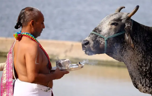 कामधेनु गौ विज्ञान प्रचार प्रसार परीक्षा