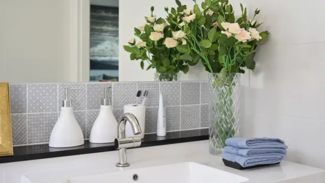 İsveçrəlilər dəqiqliklə yanaşı, təmiz tualetləri ilə də tanınırlar