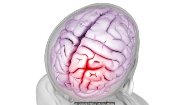 कवटी, शास्त्र, पुरातत्व