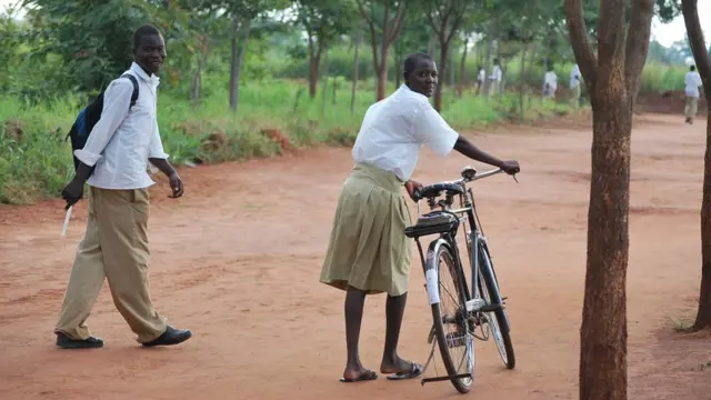 Ụmụakwụkwọ Sekọndịrị