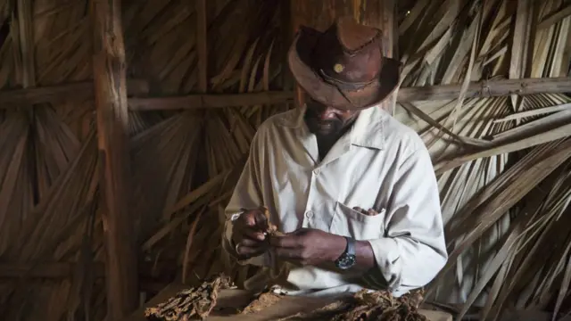 Küba puro üreticisi