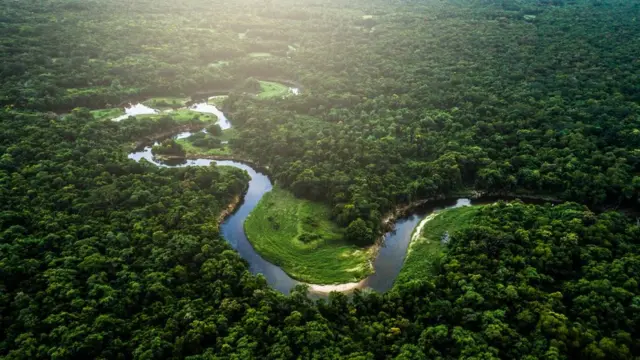 نهر الأمازون