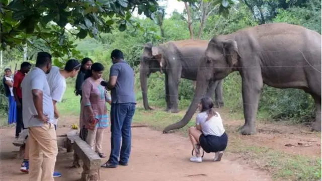 শ্রীলংকায় অনেক বিদেশী পর্যটক বেড়াতে যায়