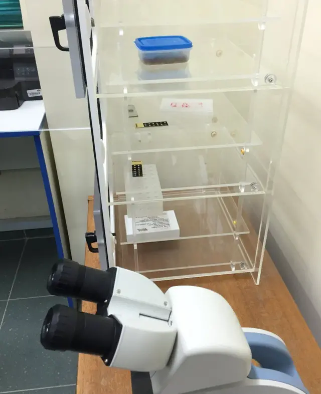 سينكروترون الشرق الوسط