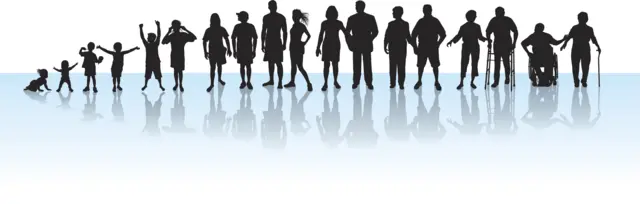 Графика - стадии жизни человека