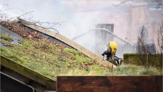 Пожар в Лондонском зоопарке