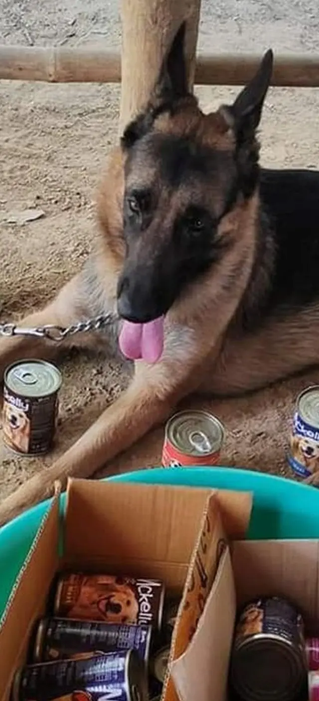 ဂျက်ကီ က လေချွန်ခေါ်ရင်သိတယ်