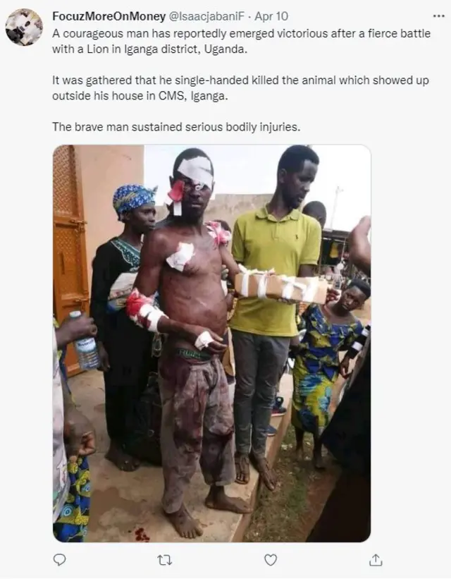 Ọkunrin to ba kiniun ja