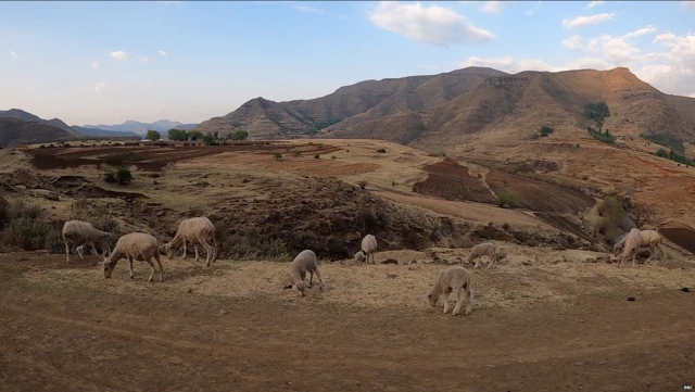 Lesotho irabeshejweho ku rugero runini cane n'urudandaza ikorana na Amerika