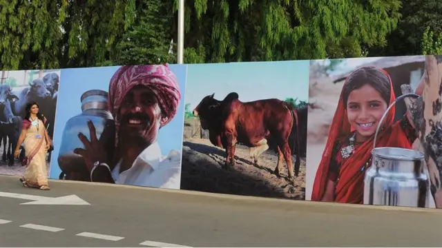 પ્રતીકાત્મક તસવીર