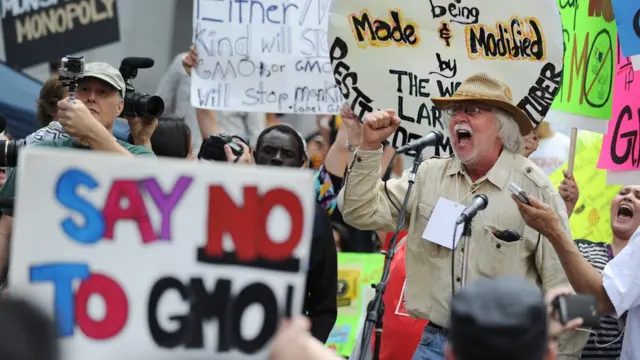 GDO'lu tarım üretimi protestosu