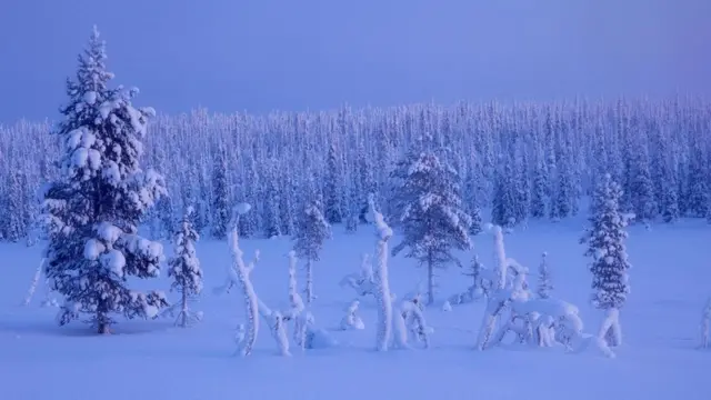 الشتاء القارس في فنلندا