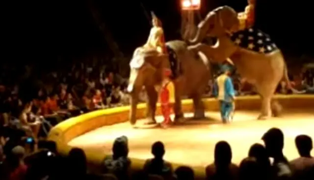 Maia e Guida na época em que se apresentavam em circos