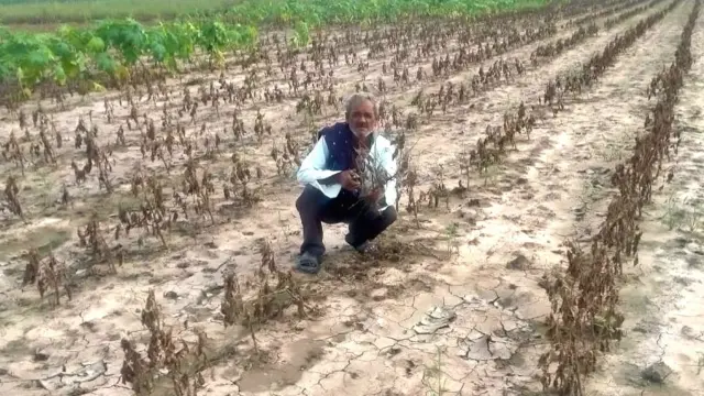 પાકનુકસાની