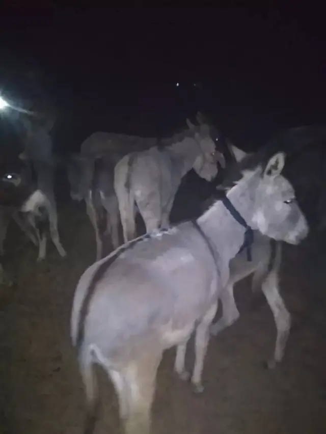 राजस्थान