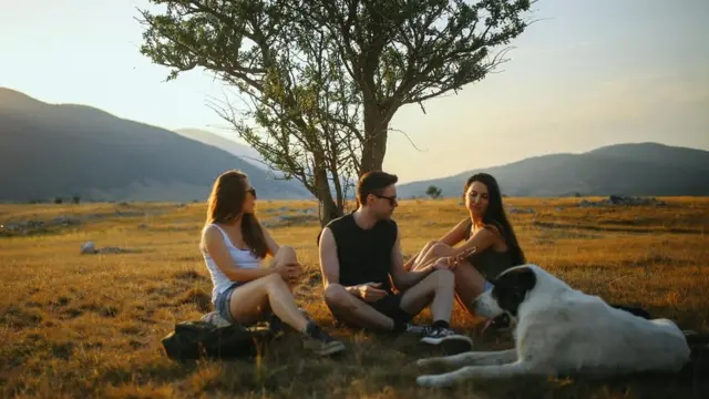 Tres jóvenes bajo un árbol.