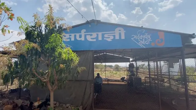 सर्पराज्ञी