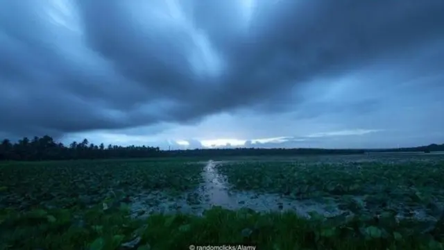 मान्सून