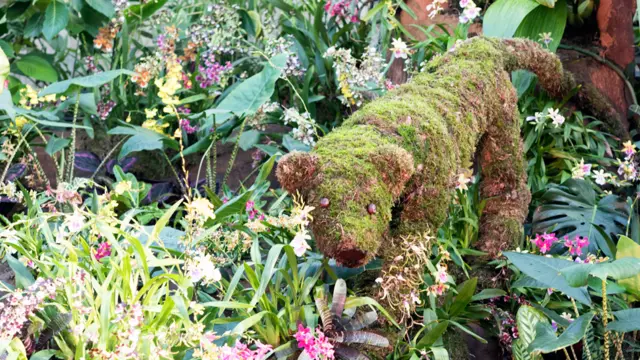 Animal hecho de plantas en el festival de orquídeas
