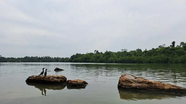 මාටින් වික්‍රමසිංහයන්ගේ 'කරුවල ගෙදර' ග්‍රන්ථයේ කොග්ගල ඔය විස්‍තර කර ඇත්තේ "පළින් පළ පිහිටි දූපත් රාසියක් හා දියෙන් උඩට නැගී සිටින මහා ගල්කුළු ද ඇති කොග්ගල ඔය සමබිමක අතුළ මහා තුත්තනායගම් තහඩුවක් වැන්න," යනුවෙනි. 