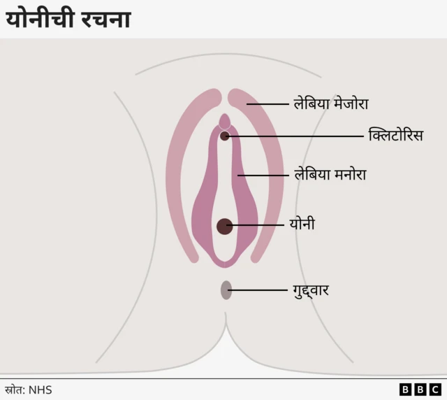 ग्राफिक 