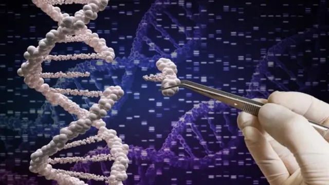 डीएनए परीक्षण