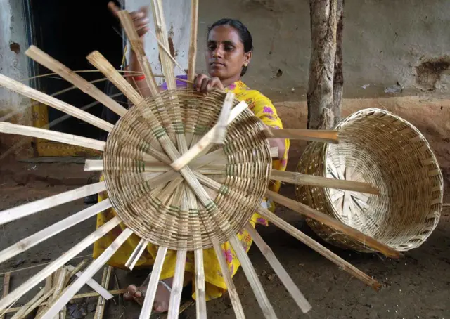 नागपुरातील या शास्त्रज्ञांनी विषारी राखेचे थर साचलेल्या जमिनींवर बांबूचं जंगलं कसं तयार केलं?