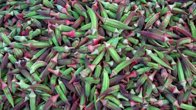 E nwere ụdịrịr okra dị icheiche 
