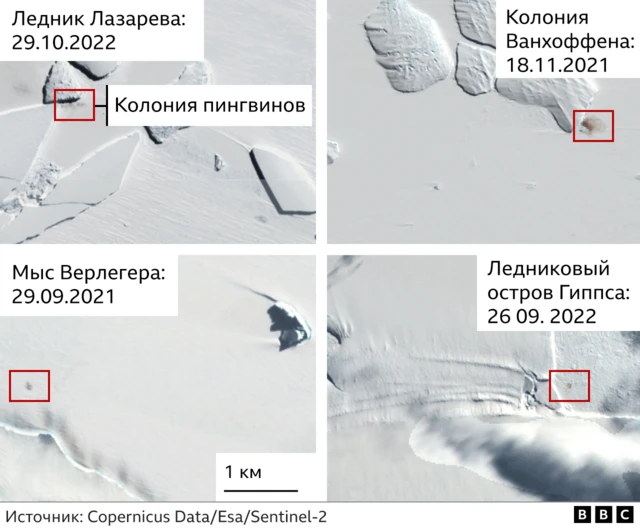 Спутниковые снимки