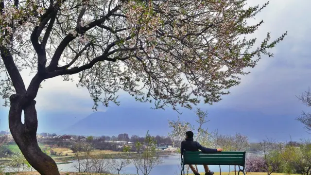 سری نگر میں موسمِ بہار