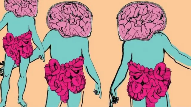 आंत और दिमाग़ के रिश्ते, Gut-Brain illustration