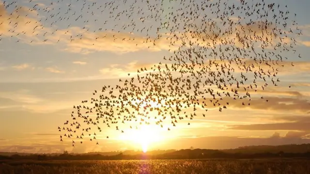 چرا باید امیدوار باشیم؟