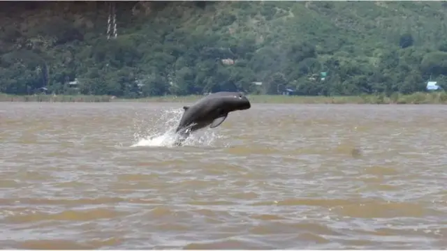 စစ်တပ်က အာဏာမသိမ်းခင် ထိန်းသိမ်းရေးဆောင်ရွက်ချိန်မှာ တွေ့ရတဲ့ ဧရာဝတီလင်းပိုင်