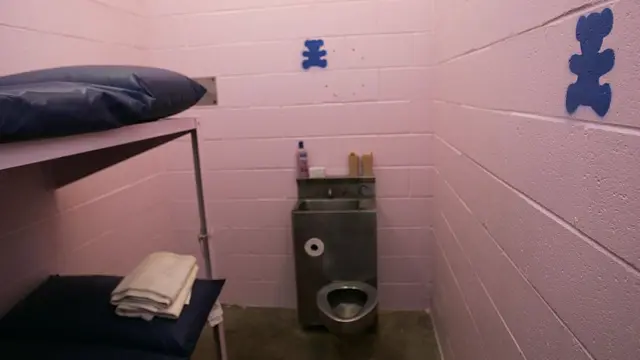 तुरुंगाची गुलाबी कोठडी