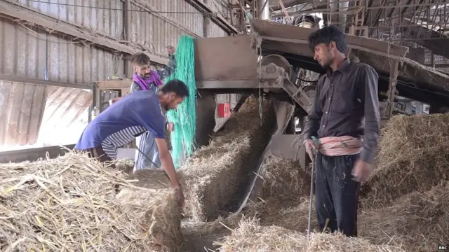 ਪਰਾਲੀ ਸਾੜਨ