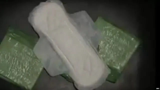 सैनिटरी नैपकिन