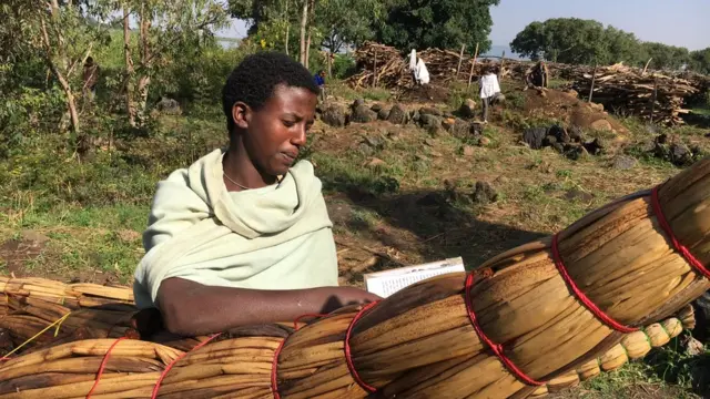 አምሃ ይርዳው