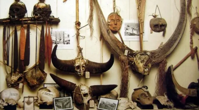 انسانی کھوپڑیاں