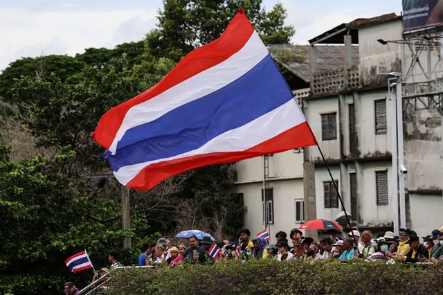 Biểu tình 
