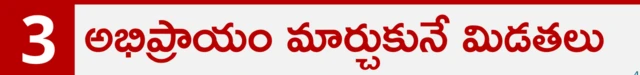 కీటకాలు 