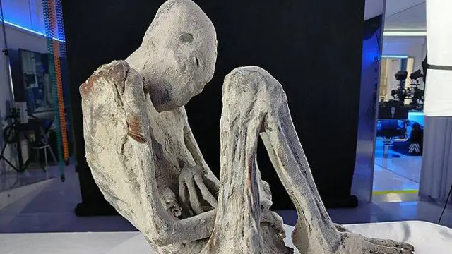 العثور على جنين داخل مومياء تُدعى "مونتسيرات"