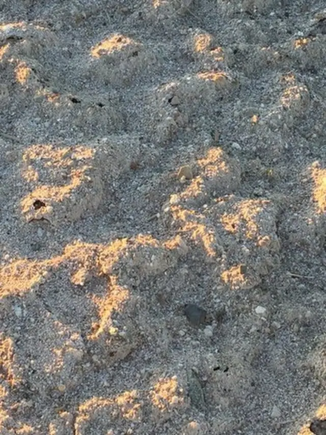 Salton Sea, California