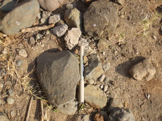 डॉ. शरद राजगुरू