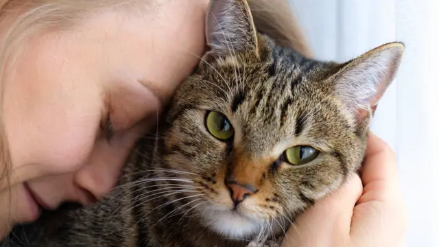 बिरालोको व्यवहार