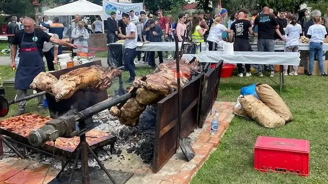 Volovi na ražnju u Loznici, volovi, ražanj, prase, jagnje 