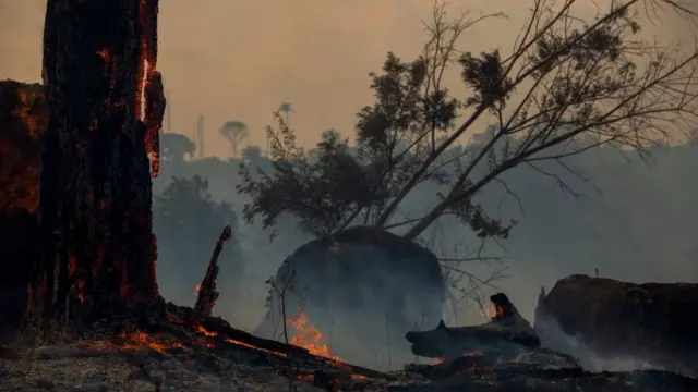 Incendios en la Amazonía